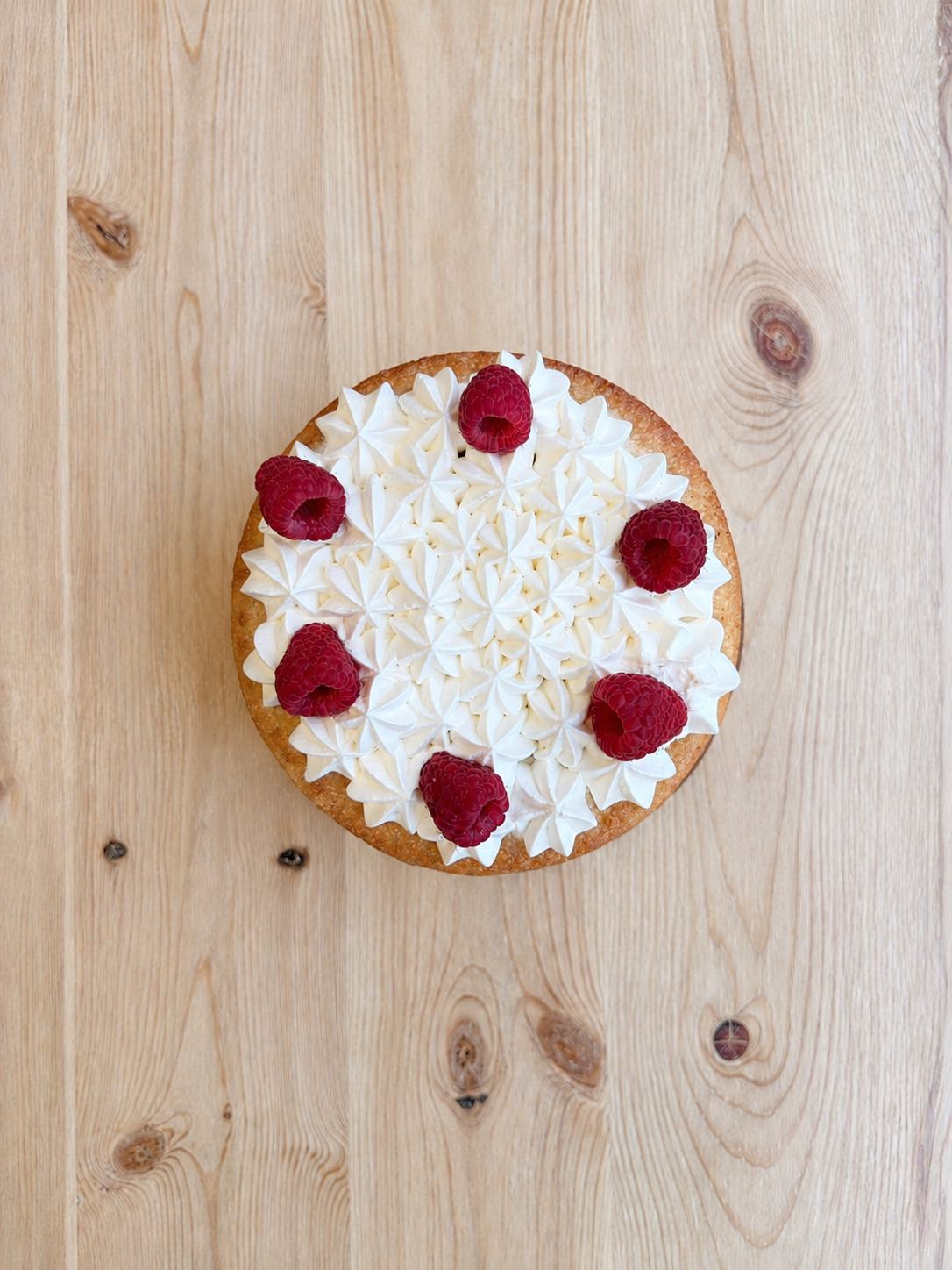 Bolo de Coco, Limão e Framboesa [VEGAN]